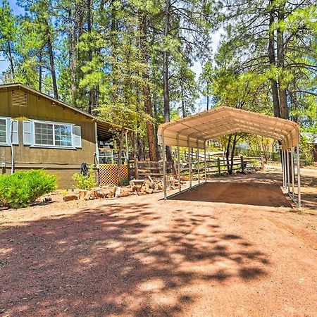 Pine Cabin In The Woods With Yard And Grill! Esterno foto